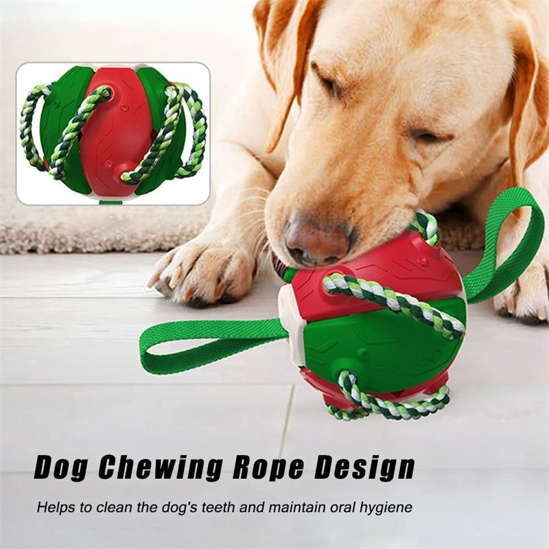 Interactive Dog Football / Training Toy