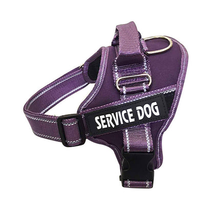Pet Chest Strap