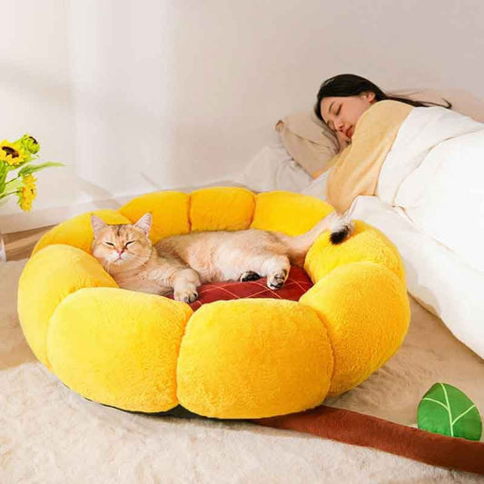 Cat Nest