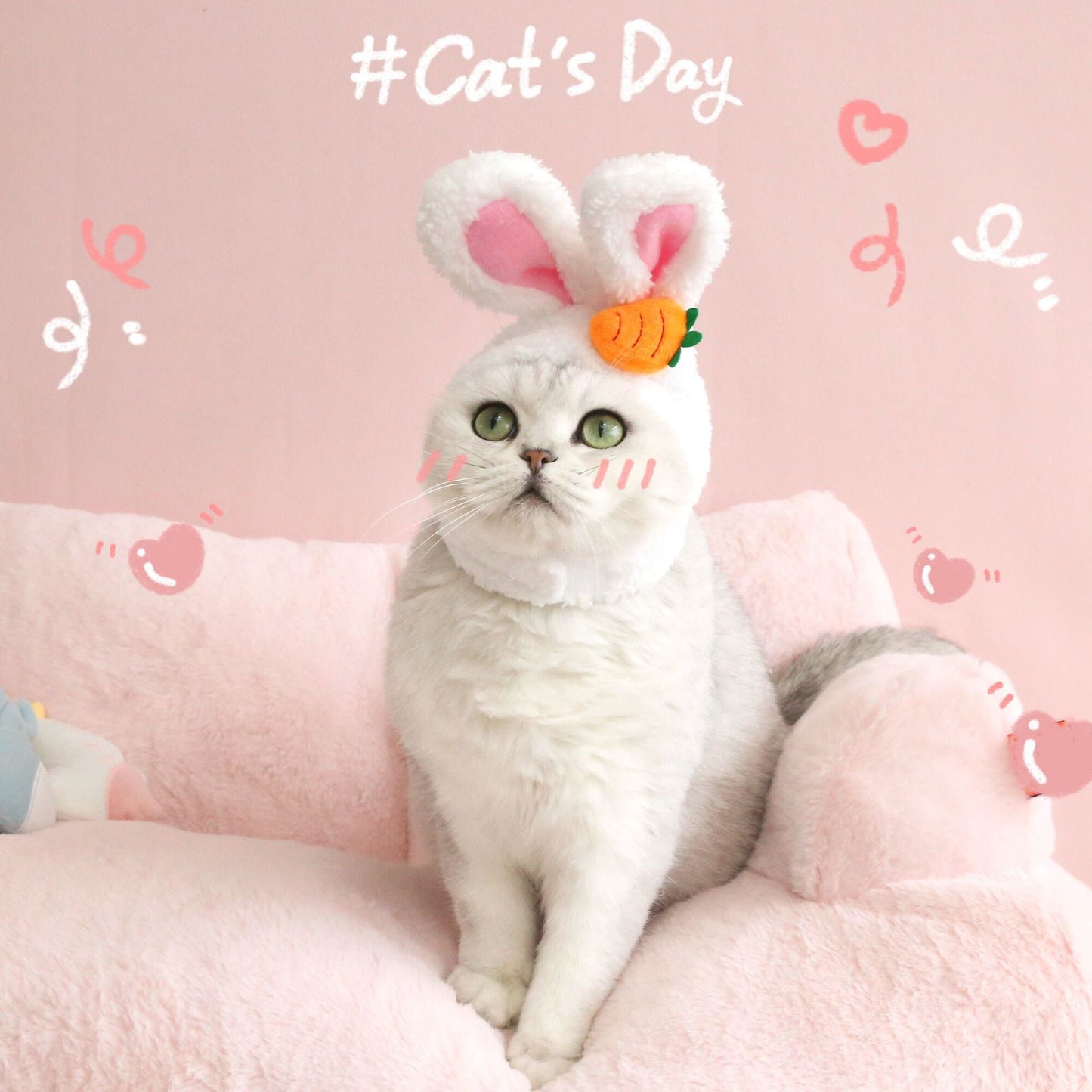 Plush Rabbit Ears for Pets